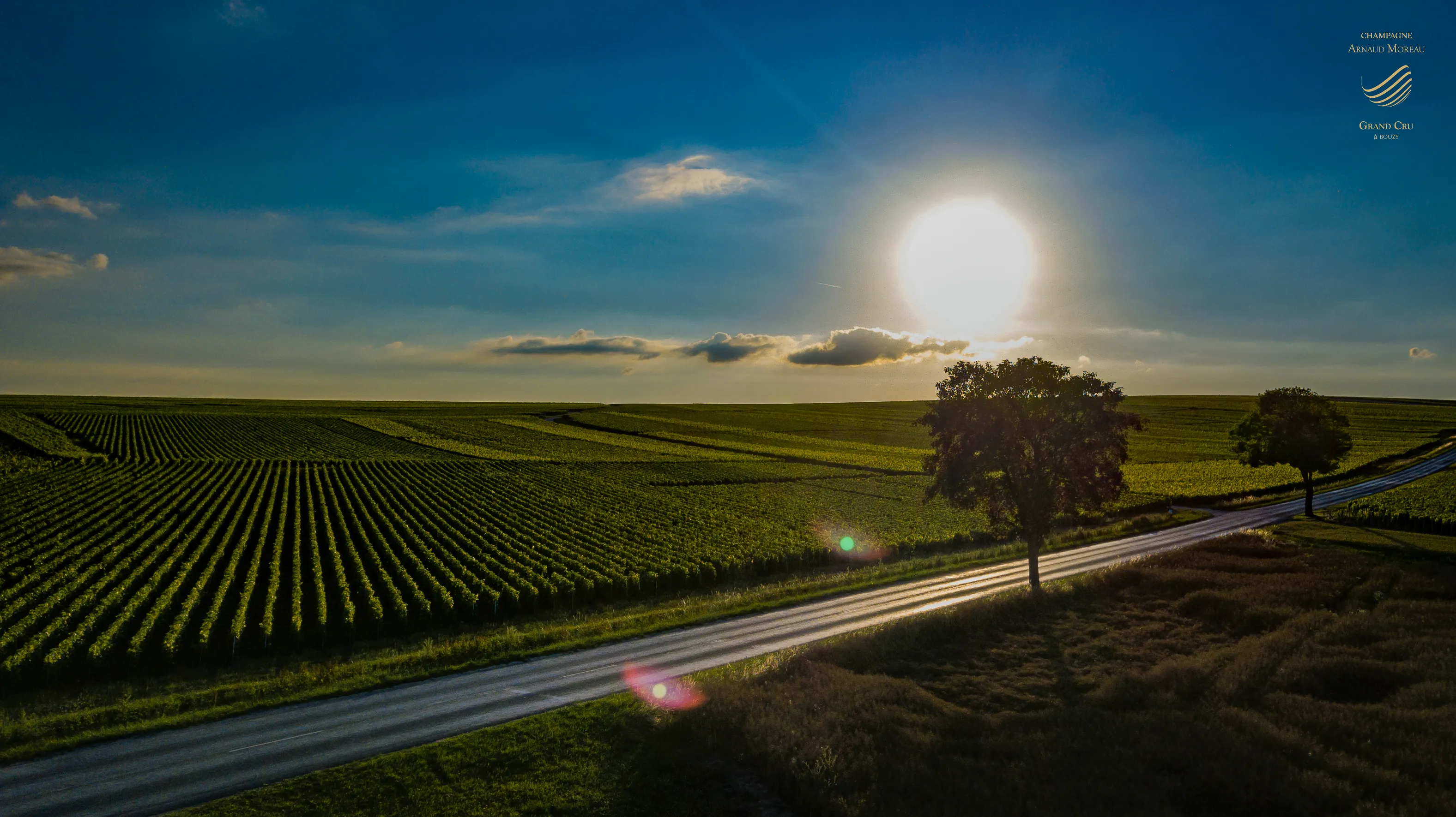 Route au cœur des vignes de Bouzy